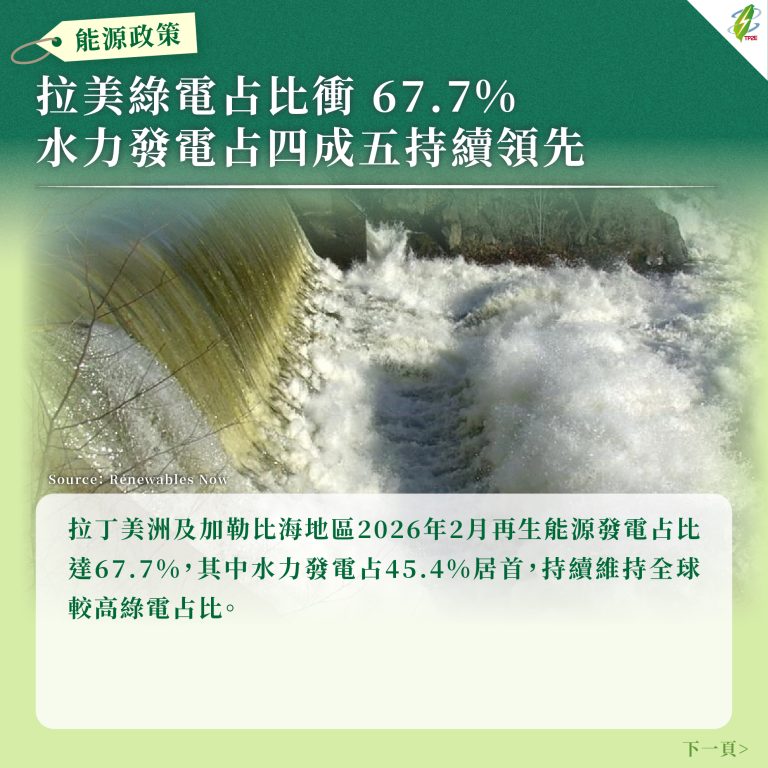 260726_週報_01
